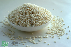 一斤糯米放多少曲酒？一斤糯米放幾克酒曲？