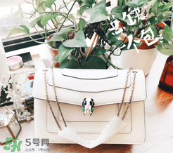 寶格麗蛇頭包有哪幾種尺寸？寶格麗蛇頭包尺寸介紹