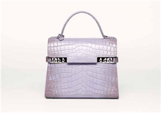 delvaux2017春夏系列包包款式有哪些_好看嗎？