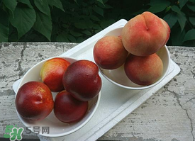 毛桃怎么保存？毛桃可以放冰箱？