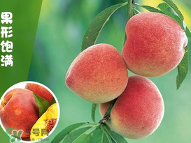 毛桃怎么清洗？毛桃怎么洗干凈？