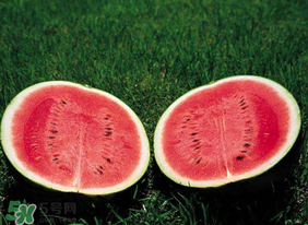 杏和西瓜能一起吃嗎？杏和西瓜能同時(shí)吃嗎？