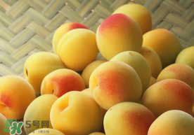 杏和雞蛋能一起吃嗎？杏子和雞蛋能一起吃嗎？