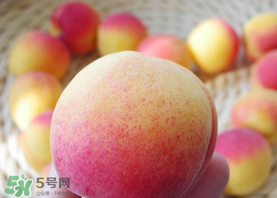 杏的熱量高嗎？一個(gè)杏的熱量是多少？