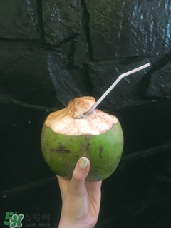 越南芽莊好玩嗎 越南芽莊旅游攻略 越南芽莊好玩嗎 越南芽莊旅游攻略