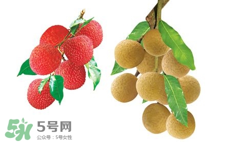 荔枝和龍眼有什么區(qū)別？荔枝和龍眼可以一起吃嗎