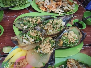 越南芽莊好玩嗎 越南芽莊旅游攻略 越南芽莊好玩嗎 越南芽莊旅游攻略