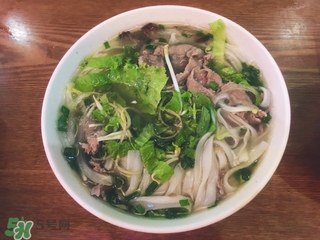 越南芽莊好玩嗎 越南芽莊旅游攻略 越南芽莊好玩嗎 越南芽莊旅游攻略