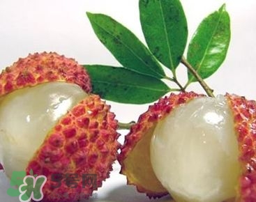 荔枝是幾月份的水果？荔枝是上火的嗎？