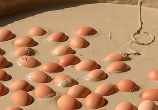 變蛋是什么蛋？變蛋是怎么做的？