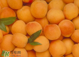 杏怎么催熟？杏怎么放熟的快？