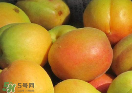 杏怎么催熟？杏怎么放熟的快？