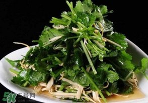 香菜是什么菜？香菜是陽痿草嗎？