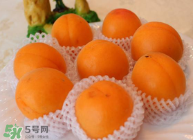 杏子可以放冰箱嗎？杏子可以冷藏嗎？