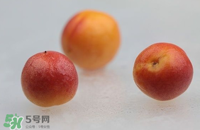 杏子怎么保存？長杏子怎么保存時間長？