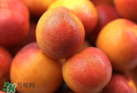 新鮮杏子可以放冰箱嗎？新鮮杏子怎么保存？