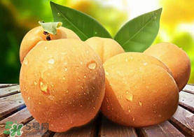 新鮮杏子怎么吃？新鮮杏子孕婦能吃嗎？