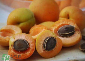 新鮮杏子怎么吃？新鮮杏子孕婦能吃嗎？