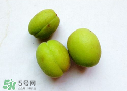 青杏怎么催熟？青杏怎么變黃？