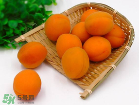 黃杏孕婦可以吃嗎？孕婦可以吃黃杏嗎？