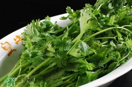 香菜是感光食物嗎？香菜是不是感光食物