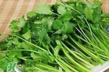 香菜是堿性嗎？香菜是堿性還是酸性