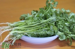 香菜是寒性食物嗎？香菜是熱性還是涼性？
