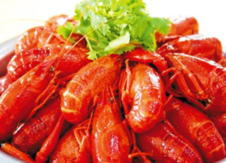 清蒸龍蝦需要多長時(shí)間？清蒸龍蝦要蒸多久？
