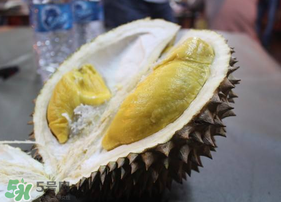 貓山王榴蓮多少錢一斤 貓山王榴蓮多少錢一斤最新價(jià)格 貓山王榴蓮多少錢一斤 貓山王榴蓮多少錢一斤最新價(jià)格