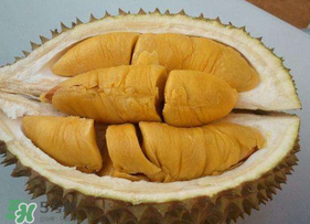 貓山王榴蓮怎樣才熟？貓山王榴蓮怎么催熟？