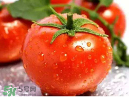 杏和西紅柿能一起吃嗎？杏子能和西紅柿一起吃嗎？