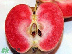 杏和蘋(píng)果可以一起吃嗎？杏子和蘋(píng)果可以一起吃嗎？