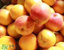 杏和蘋(píng)果可以一起吃嗎？杏子和蘋(píng)果可以一起吃嗎？