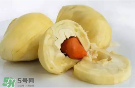 杏和榴蓮能一起吃嗎？榴蓮和杏能一起吃嗎？