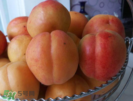 杏子可以空腹吃嗎？空腹能吃杏子嗎？