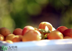 杏子好吃嗎？杏子可以多吃嗎？