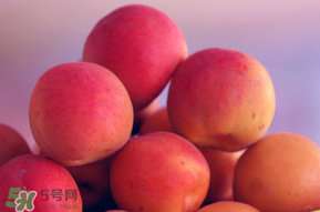 杏子好吃嗎？杏子可以多吃嗎？