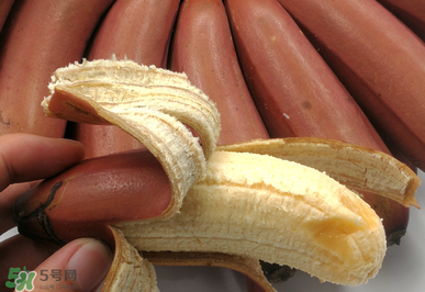 紅香蕉好吃嗎？紅香蕉味道怎么樣？