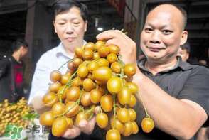 黃皮好吃嗎？黃皮是什么味道？