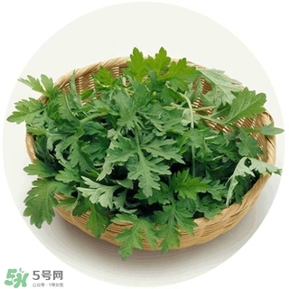 lululun plus面膜怎么樣？lululun plus面膜哪款好