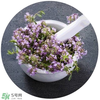 lululun plus面膜怎么樣？lululun plus面膜哪款好