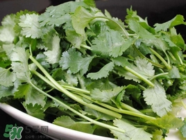 香菜是發(fā)物嗎？香菜是不是發(fā)物