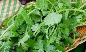 香菜洗腎有科學(xué)依據(jù)么？香菜能洗腎是真的嗎？