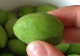 青杏怎么催熟？青杏怎么變黃？