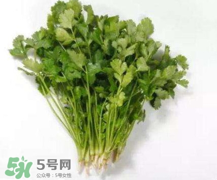 香菜洗腎有科學(xué)依據(jù)么？香菜能洗腎是真的嗎？