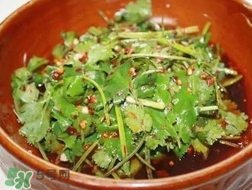 香菜是什么菜？香菜是陽痿草嗎？