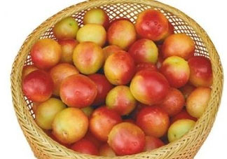 杏子好吃嗎？杏子可以多吃嗎？