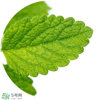 lululun plus面膜怎么樣？lululun plus面膜哪款好