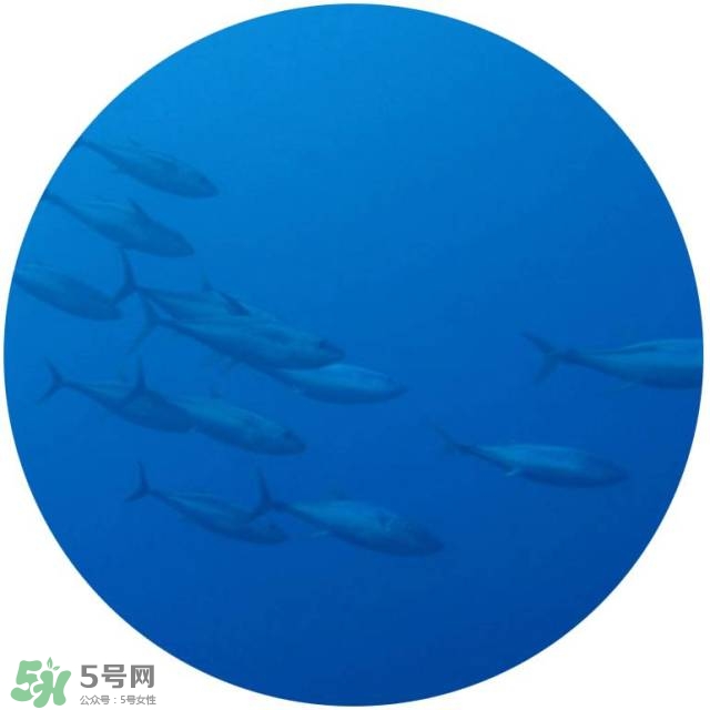 lululun plus面膜怎么樣？lululun plus面膜哪款好