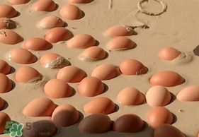 變蛋是什么蛋？變蛋是怎么做的？